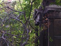 19Rosenbeum-Sonnenfeld család